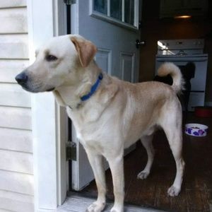 Meet your Posher, Shawn